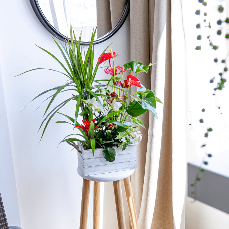 bolso de madera con planta