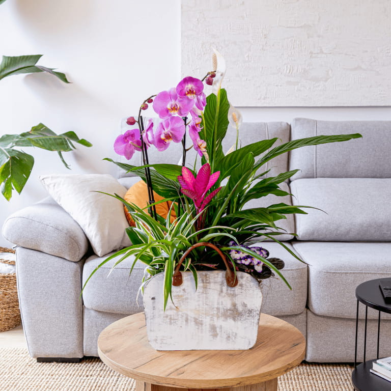 bolso de madera con planta