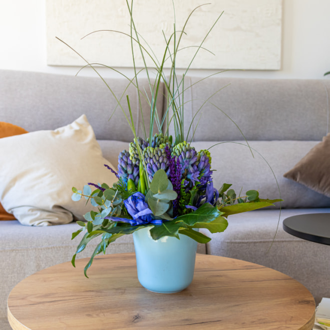 jacintos en maceta de ceramica