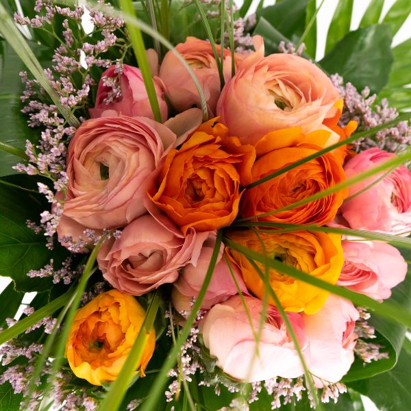 Ranúnculos rosas y naranjas