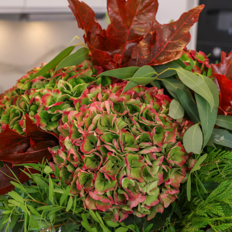 hortensias otoñales