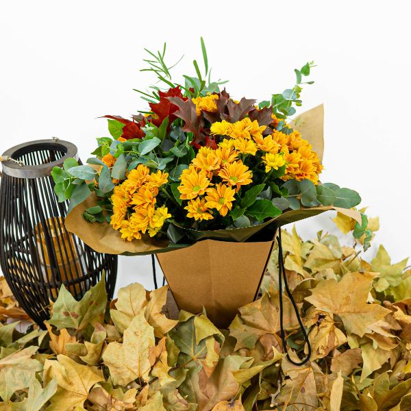 margaritas amarillas