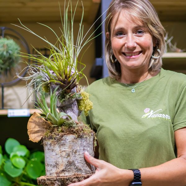 tipo diferente de planta aerea