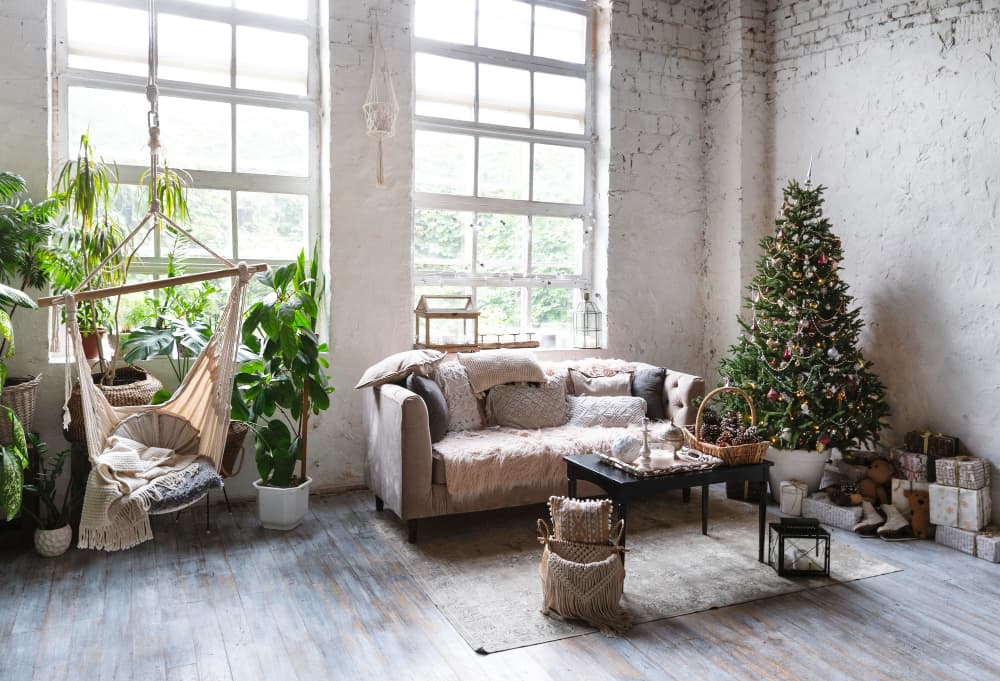 plantas en hogar en navidad