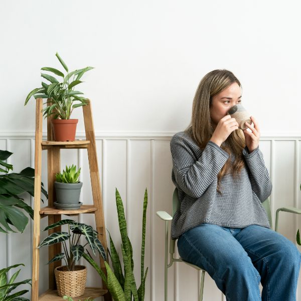 plantas que nos dan animo