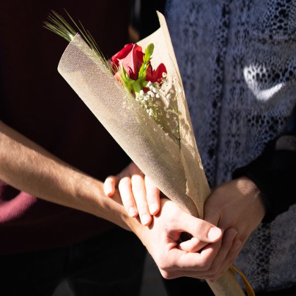 tradicion de rosas rojas