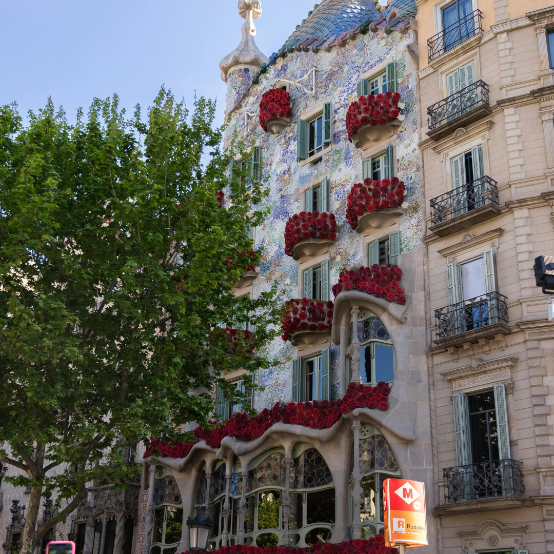 Flores secas para decorar