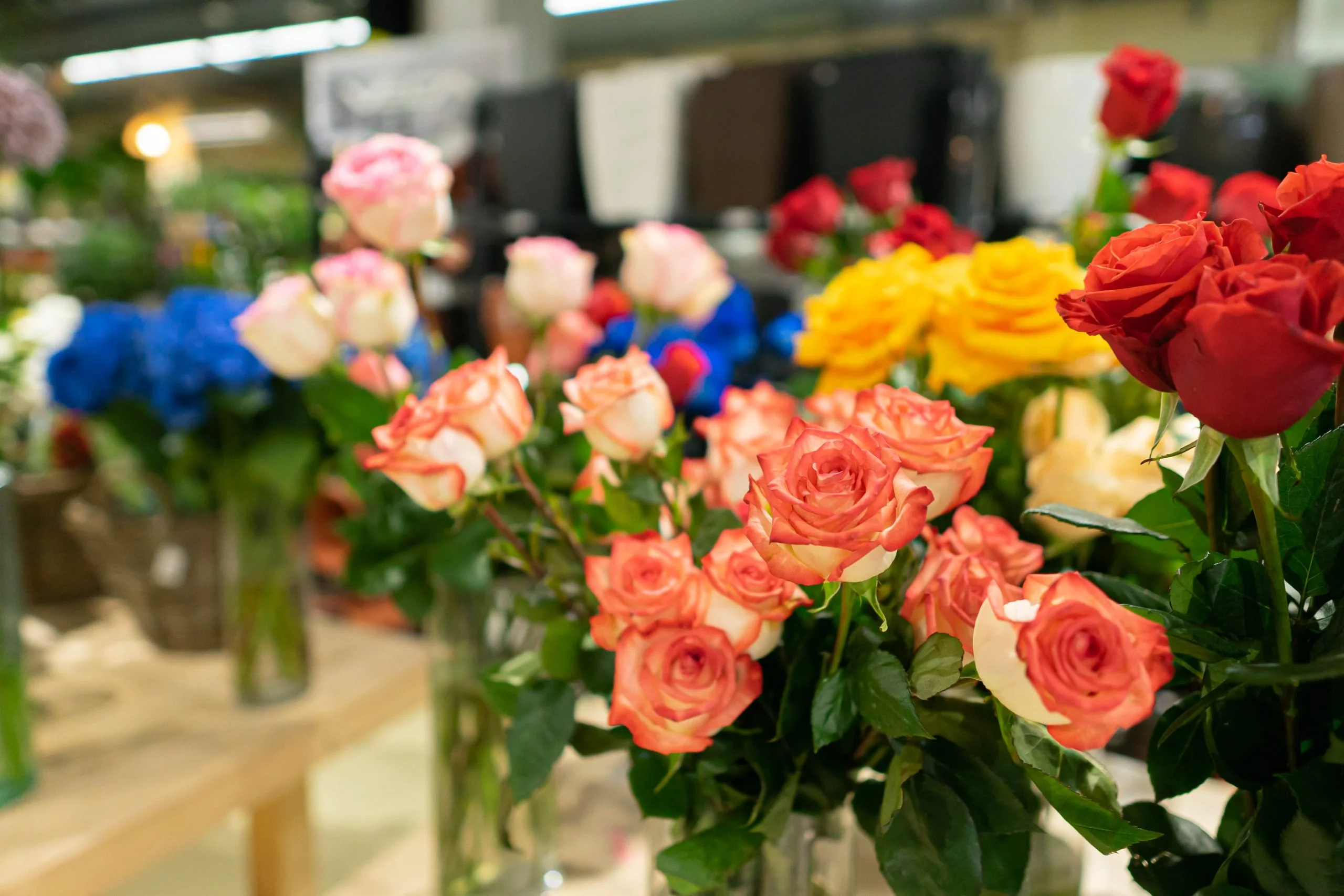 rosas en flores navarro