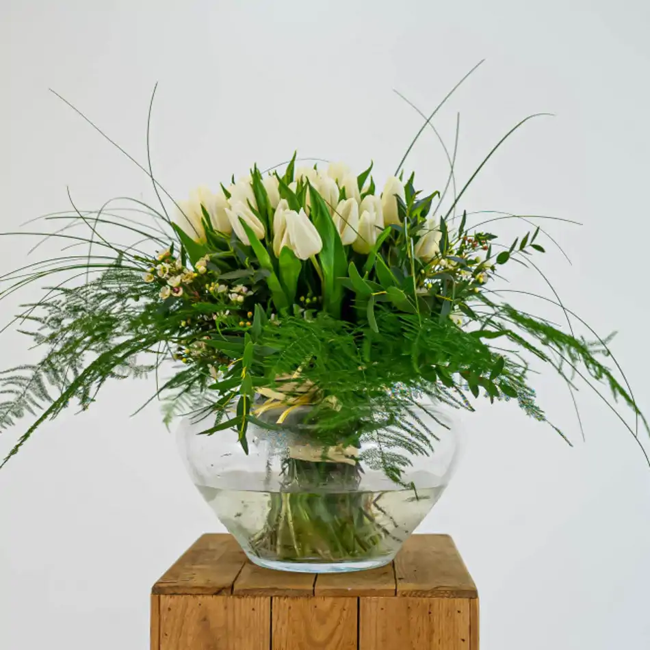 51 tulipanes blancos