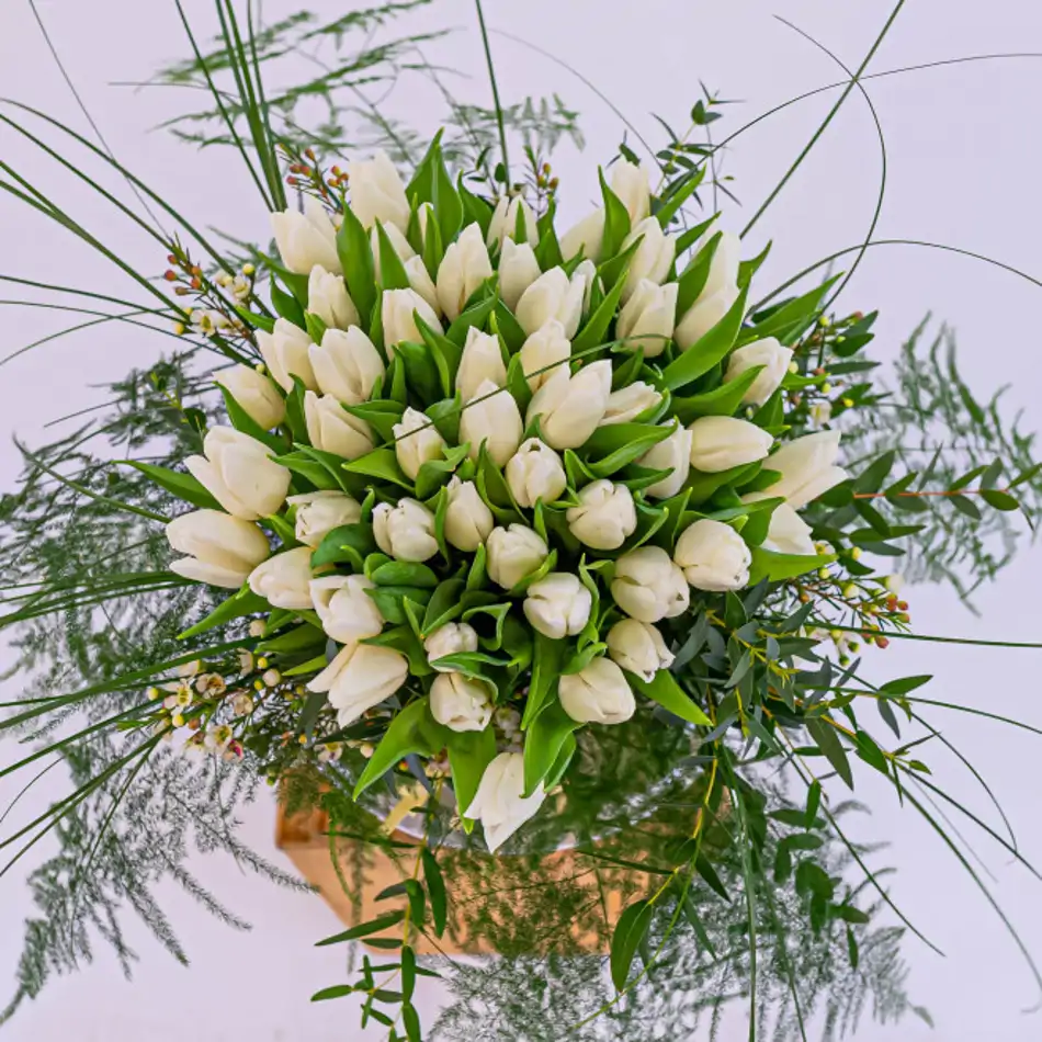 51 tulipanes blancos