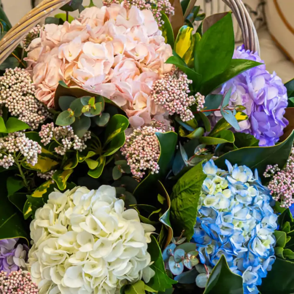 Cesta de flor de hortensia