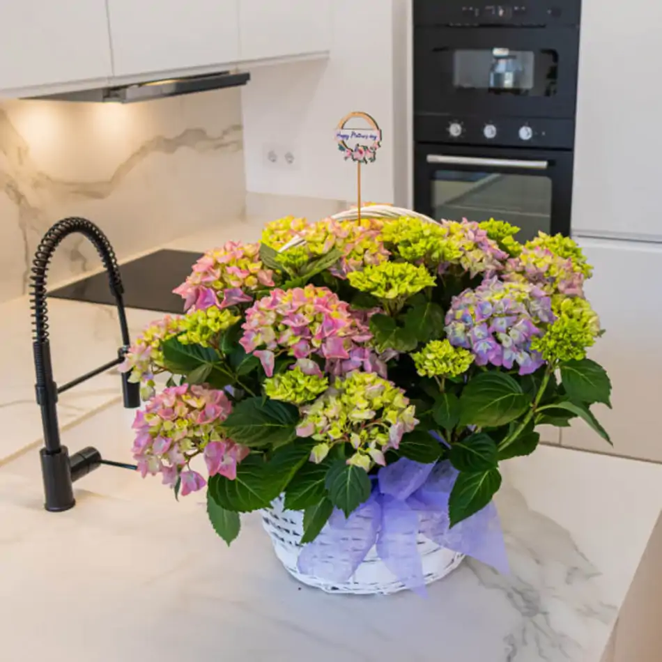 Cesta romántica de hortensias
