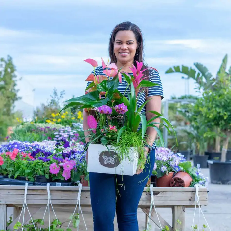 Composición de anthurium
