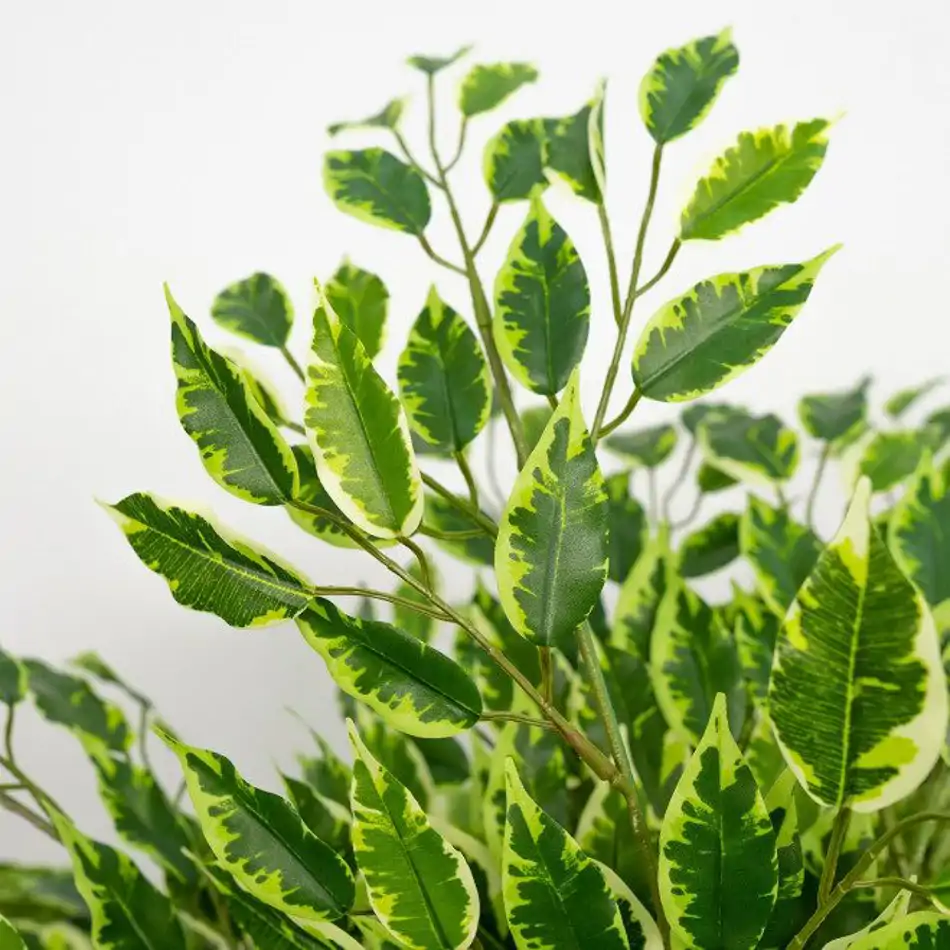 Ficus Hawai Artificial