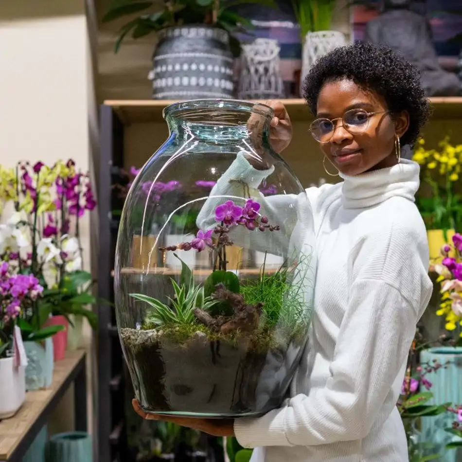 Jarrón con phaleanopsis y crasas