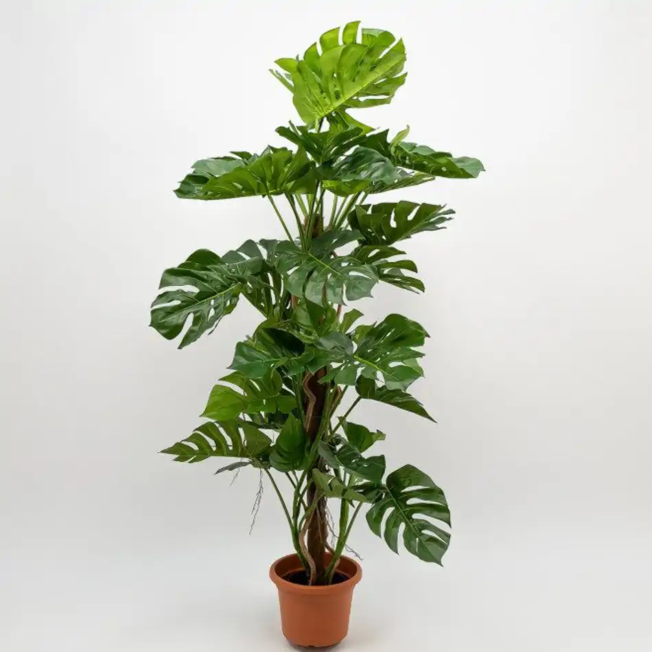 Philodendro Monstera artificial