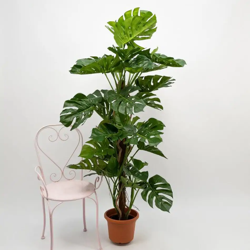 Philodendro Monstera artificial