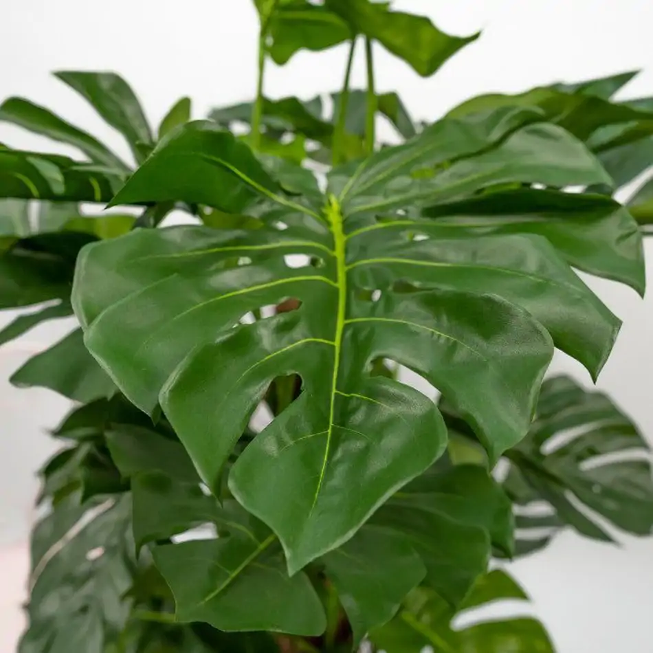 Philodendro Monstera artificial