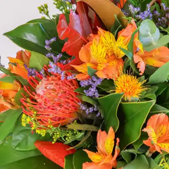 Comprar Centro otoñal en Barcelona