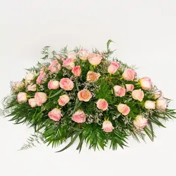 Comprar Cojín de rosas rosas en Barcelona