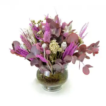 Comprar LILAC PAPAVER en Barcelona