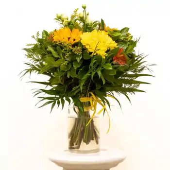 Comprar SLUNCE en Barcelona