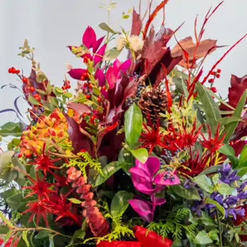 Comprar Sueño navideño en Barcelona