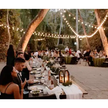 Comprar Ramo variado margarita de otoño en Barcelona